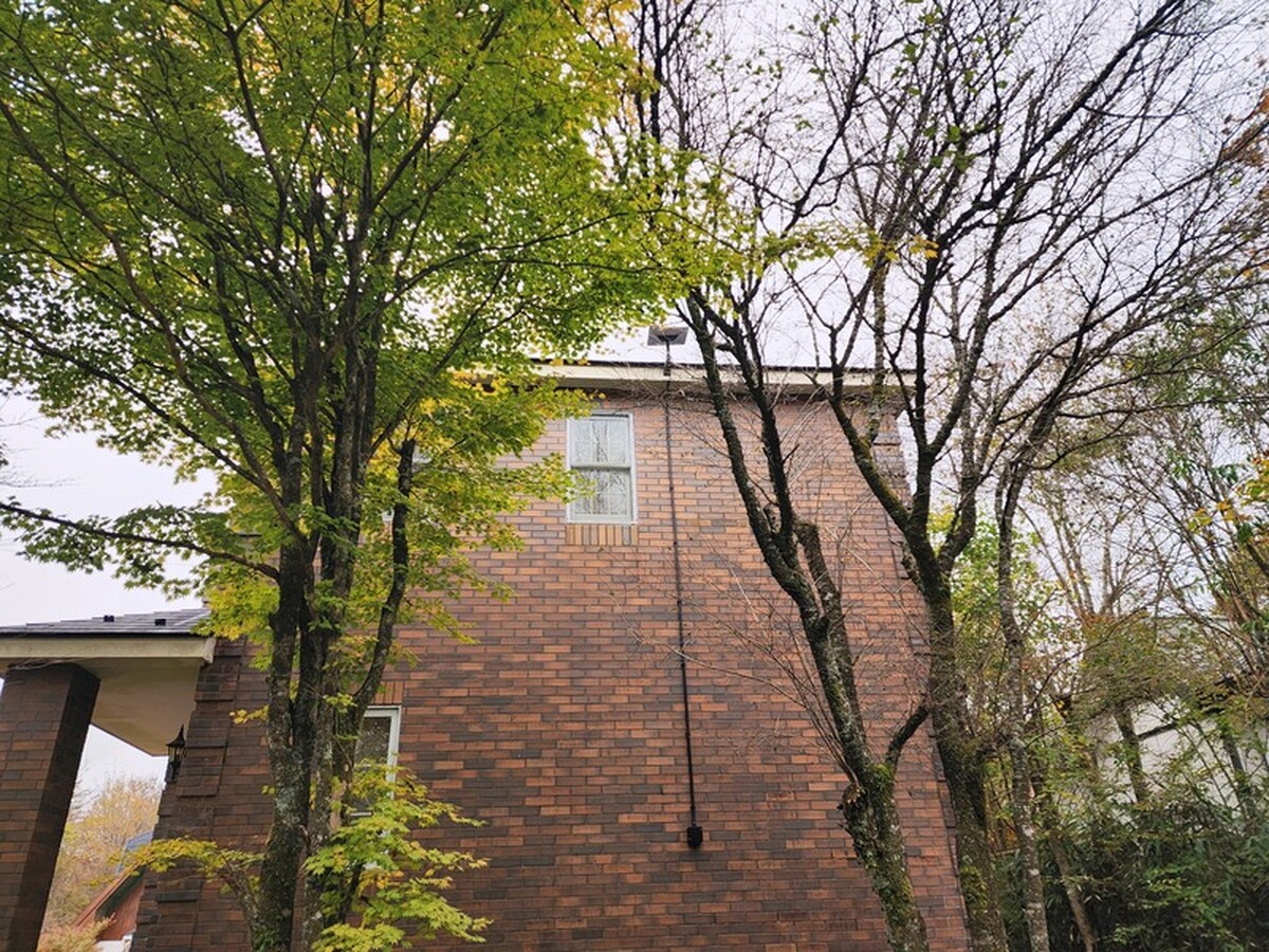 完成写真（正面）